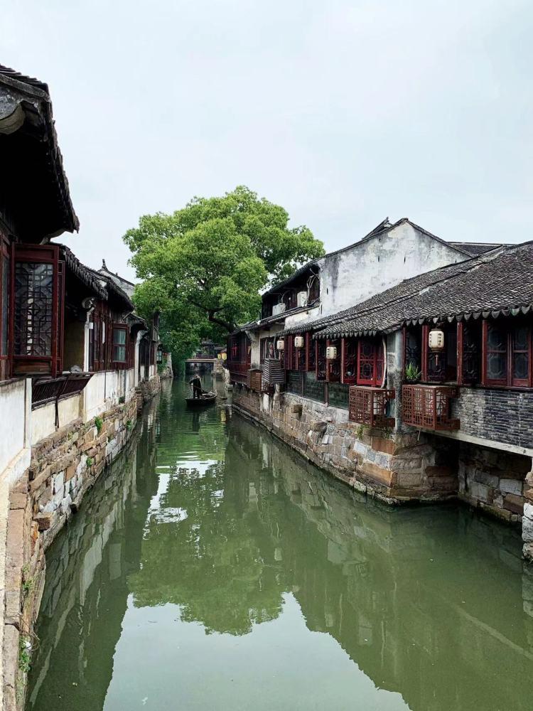 救援受困的鹭